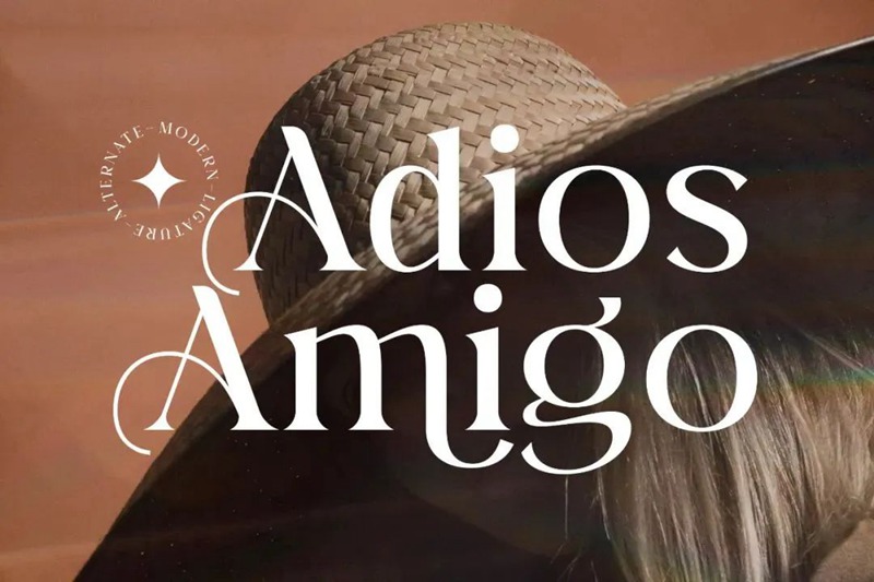 英文字体-最新整理150款潮流优雅英文字体合集 设计素材 第22张-素材湾丨精选海外优质设计素材资源 英文字体-最新整理150款潮流优雅英文字体合集 设计素材 sucaiwan.com