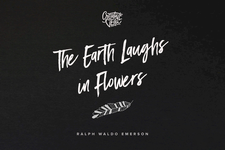 Procreate笔刷-花朵花型图案笔刷素材下载 笔刷资源 sucaiwan.com