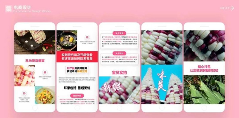 2022年最新整套作品集模板合集 图片素材 sucaiwan.com