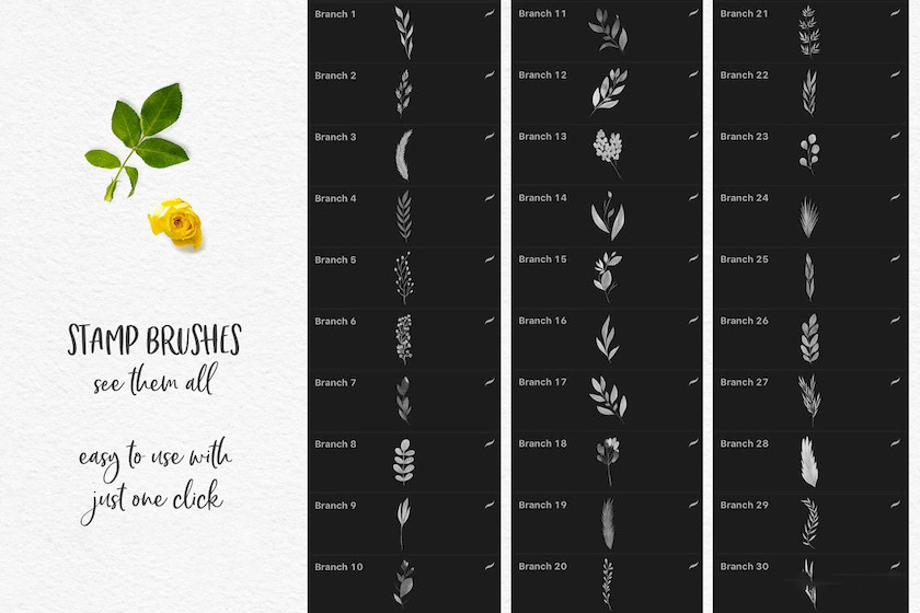 procreate笔刷-花朵叶子印章水彩笔刷素材资源 笔刷资源 sucaiwan.com