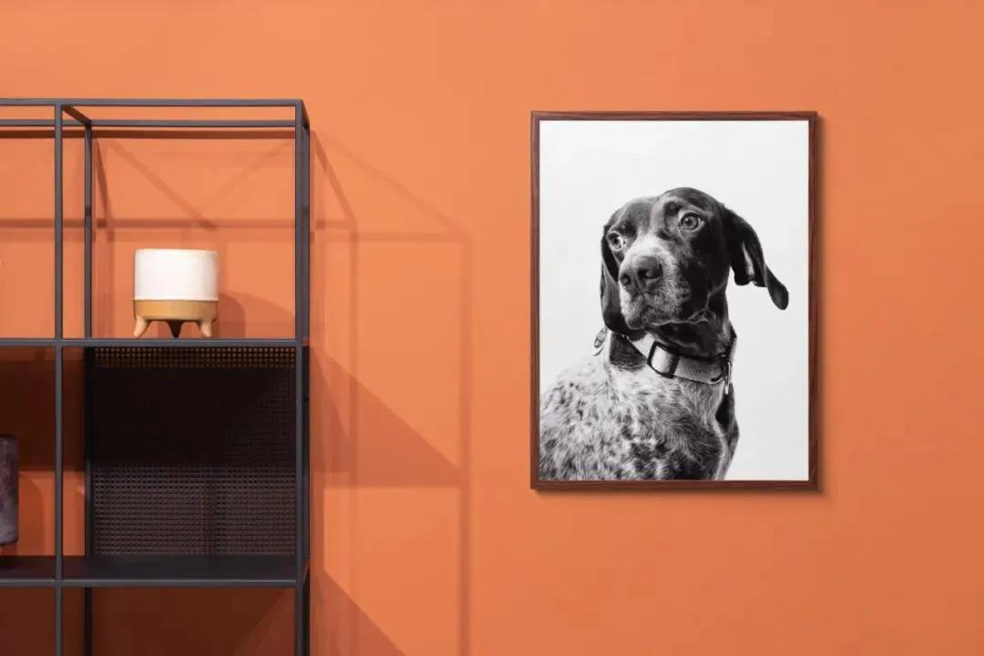 22款国外高端作品样机合集 图片素材 sucaiwan.com