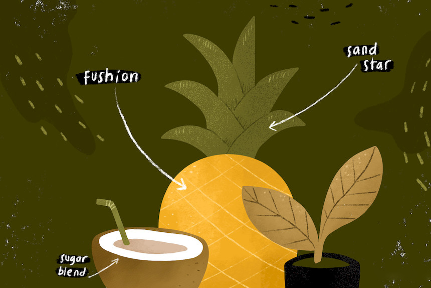 Procreate笔刷-卡通蔬菜水果谷物纹理干画笔笔刷素材下载 笔刷资源 sucaiwan.com