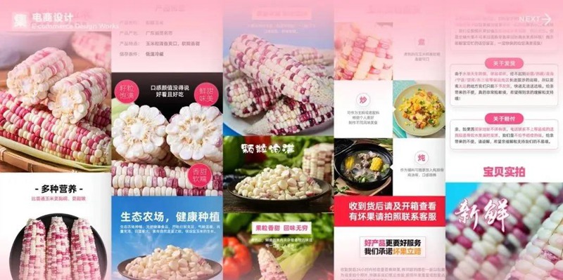 2022年最新整套作品集模板合集 图片素材 sucaiwan.com