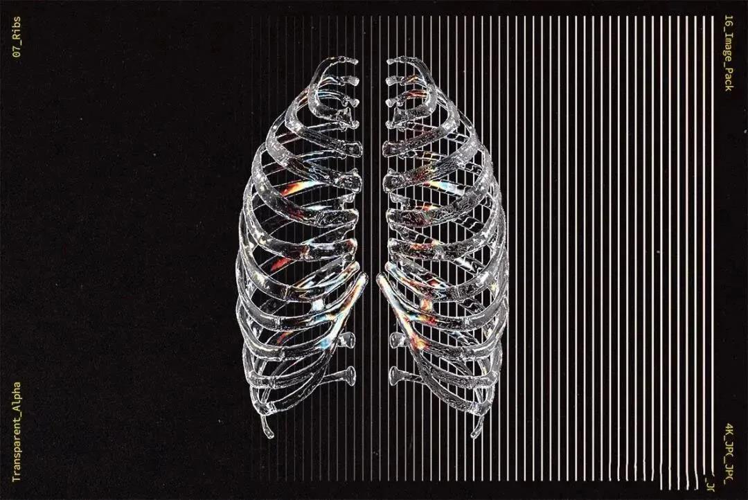 潮流炫酷人体骨骼素材+透明液体气泡素材+网格线条平面立体透视AI素材 图片素材 第9张-素材湾丨精选海外优质设计素材资源 潮流炫酷人体骨骼素材+透明液体气泡素材+网格线条平面立体透视AI素材 图片素材 sucaiwan.com