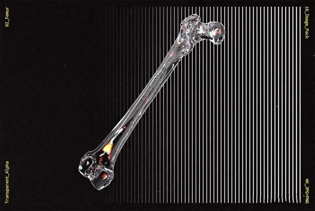 潮流炫酷人体骨骼素材+透明液体气泡素材+网格线条平面立体透视AI素材 图片素材 第7张-素材湾丨精选海外优质设计素材资源 潮流炫酷人体骨骼素材+透明液体气泡素材+网格线条平面立体透视AI素材 图片素材 sucaiwan.com