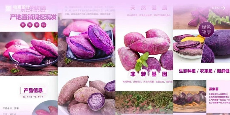 2022年最新整套作品集模板合集 图片素材 sucaiwan.com