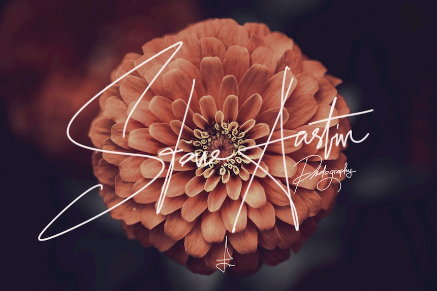 Procreate笔刷-油漆粉笔艺术字体画笔笔刷素材Nine6brush 笔刷资源 第9张-素材湾丨精选海外优质设计素材资源 Procreate笔刷-油漆粉笔艺术字体画笔笔刷素材Nine6brush 笔刷资源 sucaiwan.com