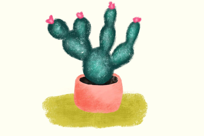 Procreate笔刷-污渍颗粒纹理画笔插画笔刷素材资源 笔刷资源 第8张-素材湾丨精选海外优质设计素材资源 Procreate笔刷-污渍颗粒纹理画笔插画笔刷素材资源 笔刷资源 sucaiwan.com