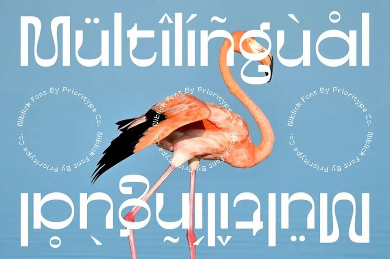 英文字体-最新整理150款潮流优雅英文字体合集 设计素材 第3张-素材湾丨精选海外优质设计素材资源 英文字体-最新整理150款潮流优雅英文字体合集 设计素材 sucaiwan.com