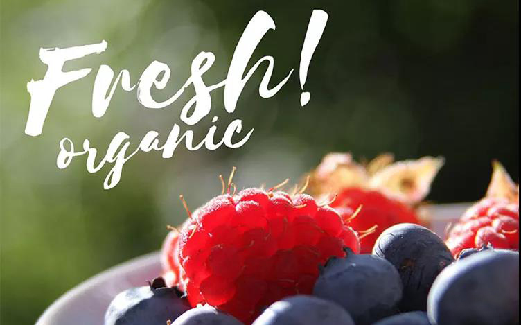 精美创意复古飘逸潦草手写草书英文字体安装包合集 设计素材 sucaiwan.com