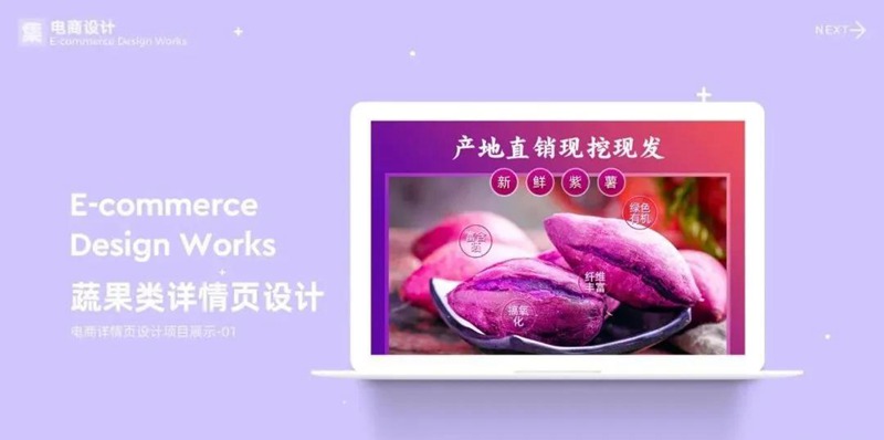 2022年最新整套作品集模板合集 图片素材 sucaiwan.com