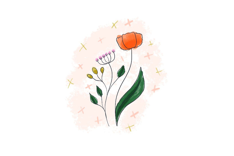 procreate笔刷-干油墨笔刷画笔素材资源 笔刷资源 sucaiwan.com