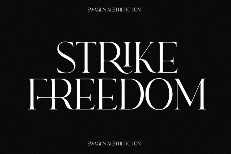 英文字体-最新整理150款潮流优雅英文字体合集 设计素材 第74张-素材湾丨精选海外优质设计素材资源 英文字体-最新整理150款潮流优雅英文字体合集 设计素材 sucaiwan.com