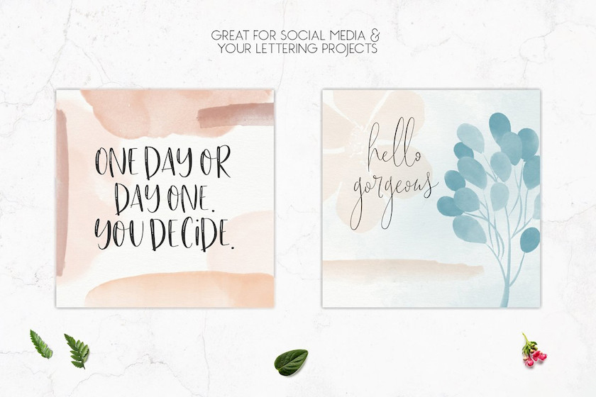 procreate笔刷-花朵叶子印章水彩笔刷素材资源 笔刷资源 sucaiwan.com