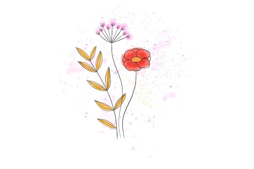 Procreate笔刷-飞溅和斑点印章水彩笔刷素材 笔刷资源 sucaiwan.com