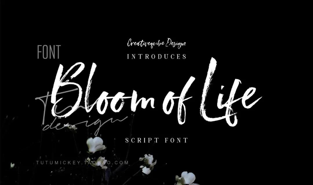 什么样的字体，让国内外顶尖设计师都抢着用？ 设计素材 sucaiwan.com