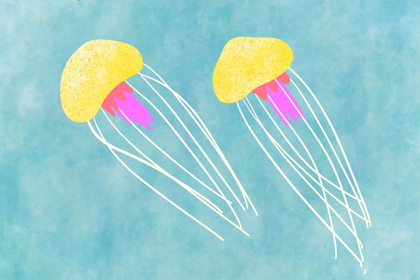 Procreate笔刷-飞溅和斑点印章水彩笔刷素材 笔刷资源 sucaiwan.com