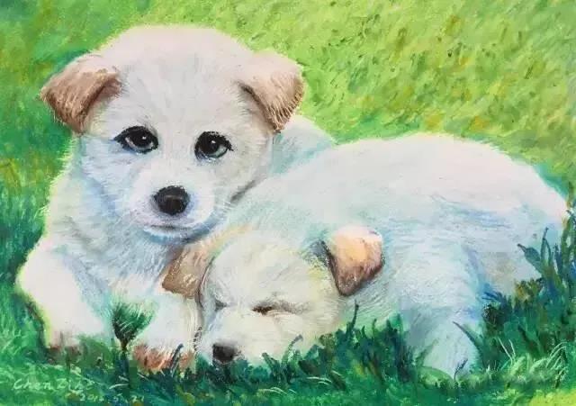 10000款PS笔刷合集，包含水彩、水墨、素描、纹理、油画、笔触、水粉、肌理等 笔刷资源 sucaiwan.com