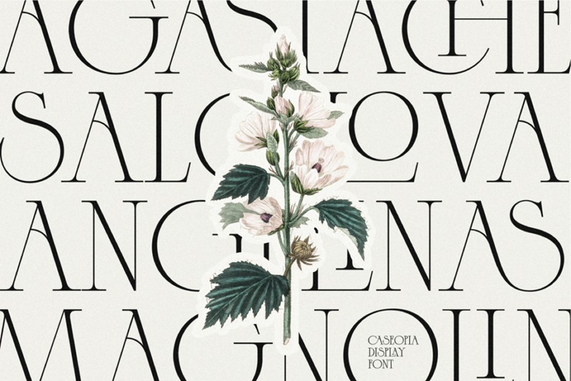 英文字体-最新整理150款潮流优雅英文字体合集 设计素材 第42张-素材湾丨精选海外优质设计素材资源 英文字体-最新整理150款潮流优雅英文字体合集 设计素材 sucaiwan.com