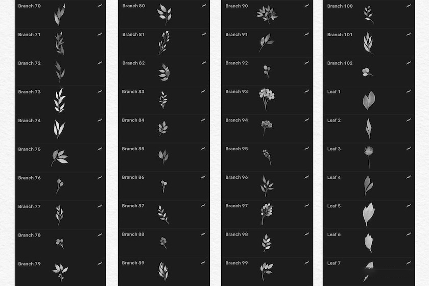 procreate笔刷-花朵叶子印章水彩笔刷素材资源 笔刷资源 sucaiwan.com
