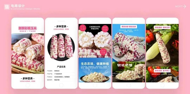 2022年最新整套作品集模板合集 图片素材 sucaiwan.com