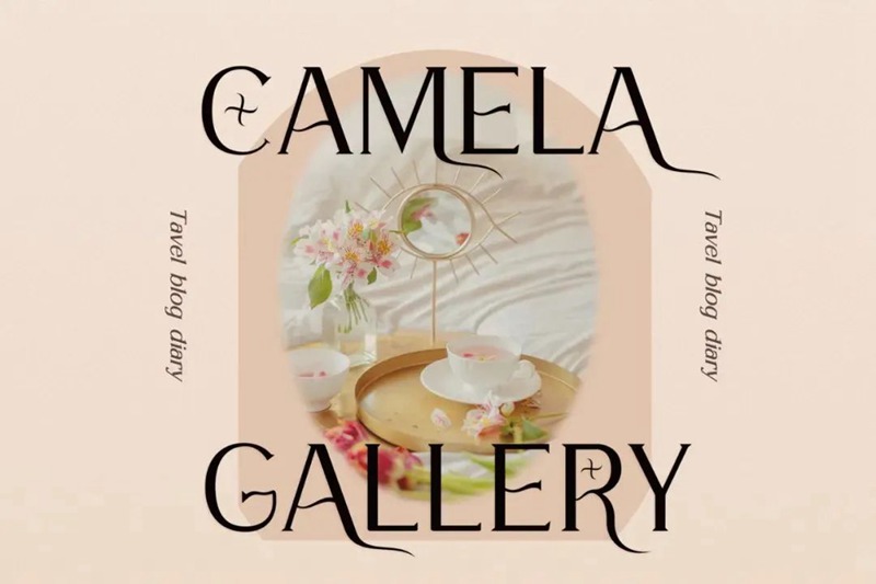 英文字体-最新整理150款潮流优雅英文字体合集 设计素材 第47张-素材湾丨精选海外优质设计素材资源 英文字体-最新整理150款潮流优雅英文字体合集 设计素材 sucaiwan.com