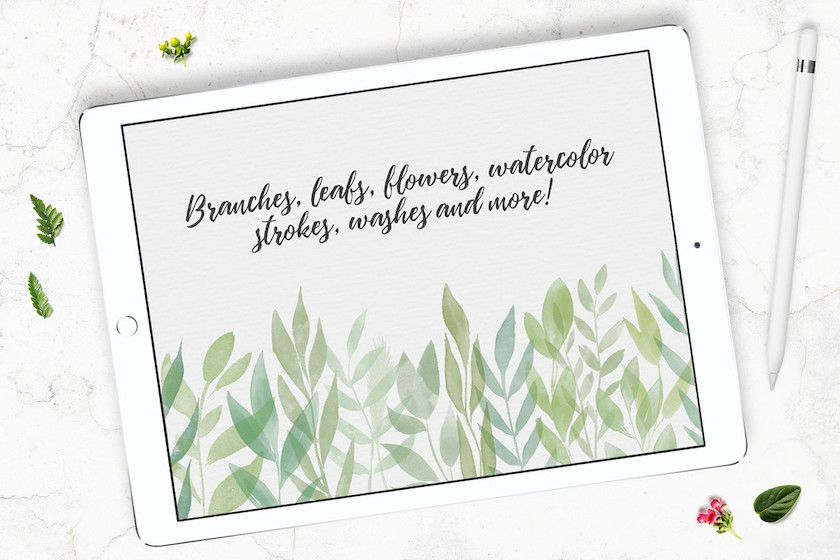 procreate笔刷-花朵叶子印章水彩笔刷素材资源 笔刷资源 sucaiwan.com