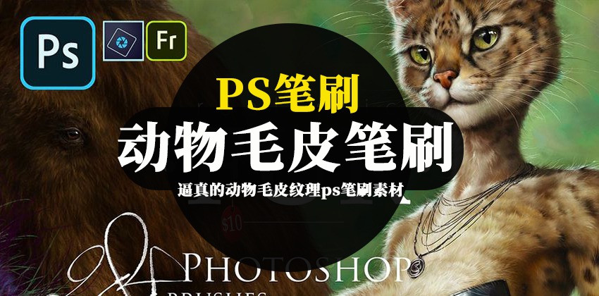 ps笔刷-逼真的动物毛皮纹理ps笔刷素材资源下载 笔刷资源 sucaiwan.com