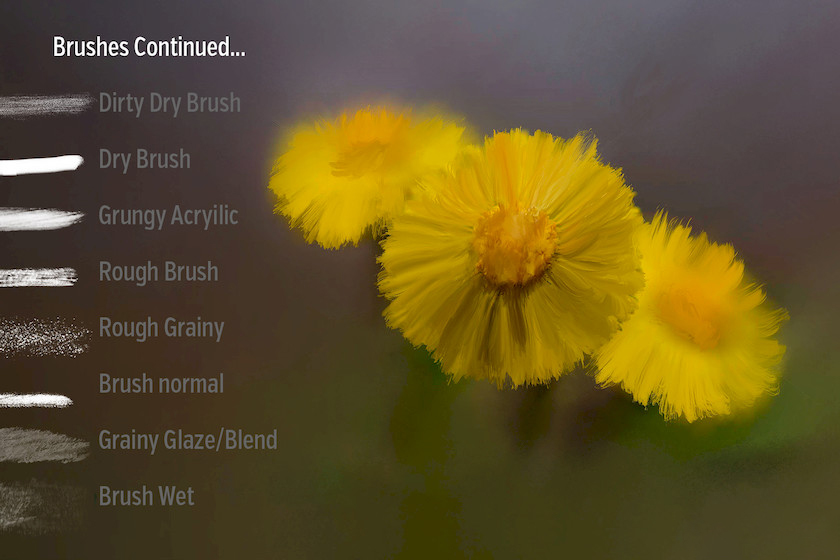 Procreate笔刷-照片油漆人像毛发绘画笔刷素材资源 笔刷资源 sucaiwan.com