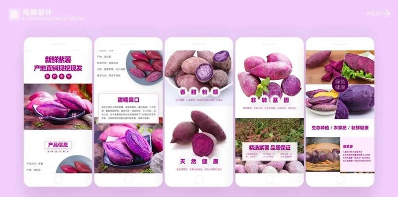 2022年最新整套作品集模板合集 图片素材 sucaiwan.com