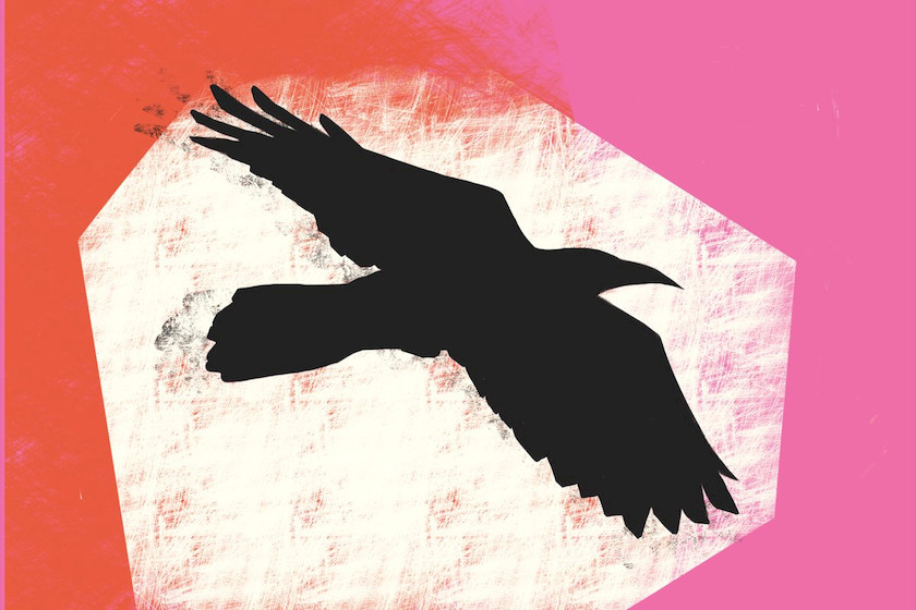 Procreate笔刷-刮擦刮痕效果纹理笔刷素材资源 笔刷资源 sucaiwan.com