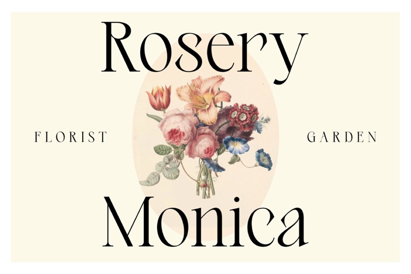 英文字体-最新整理150款潮流优雅英文字体合集 设计素材 第41张-素材湾丨精选海外优质设计素材资源 英文字体-最新整理150款潮流优雅英文字体合集 设计素材 sucaiwan.com