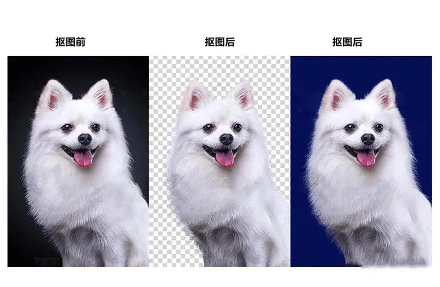 PS抠图神器插件 插件预设 sucaiwan.com