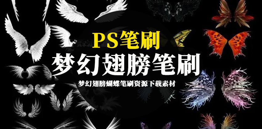 PS笔刷-梦幻翅膀蝴蝶笔刷资源下载素材 笔刷资源 sucaiwan.com