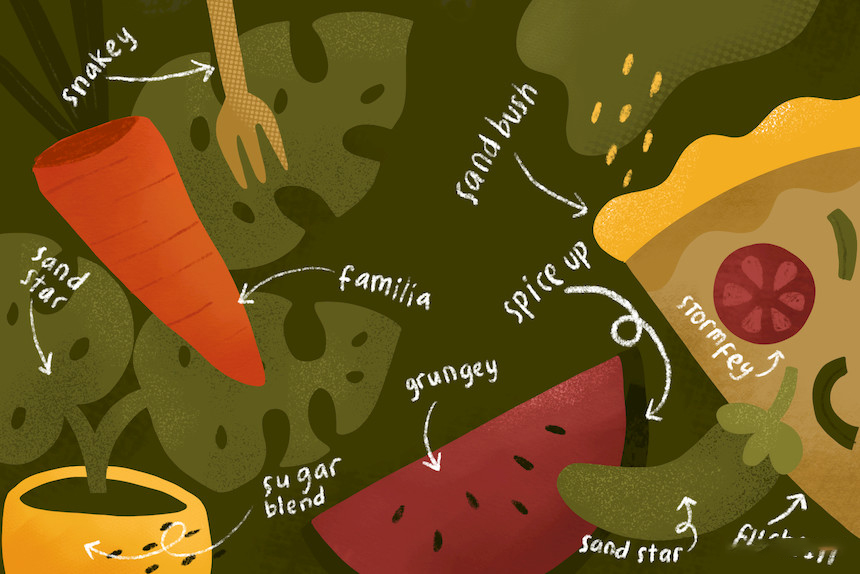 Procreate笔刷-卡通蔬菜水果谷物纹理干画笔笔刷素材下载 笔刷资源 sucaiwan.com