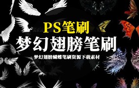 PS笔刷-梦幻翅膀蝴蝶笔刷资源下载素材