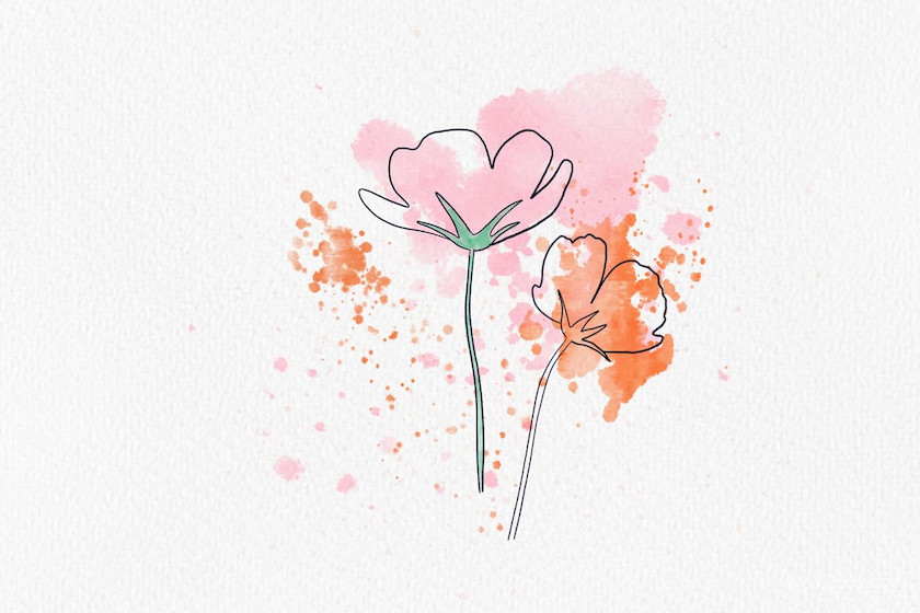 Procreate笔刷-飞溅和斑点印章水彩笔刷素材 笔刷资源 sucaiwan.com