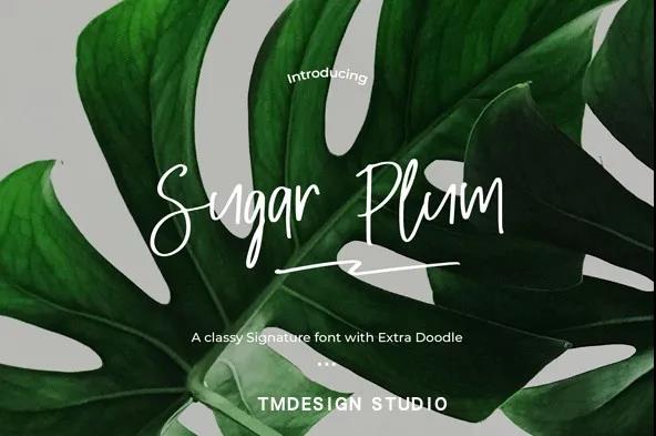 什么样的字体，让国内外顶尖设计师都抢着用？ 设计素材 sucaiwan.com