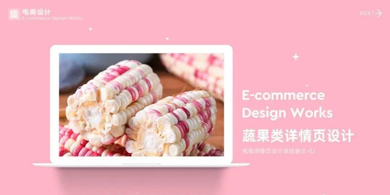 2022年最新整套作品集模板合集 图片素材 sucaiwan.com