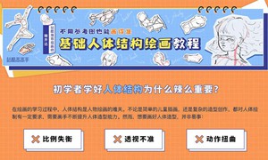 释开达基础人体结构绘画教程