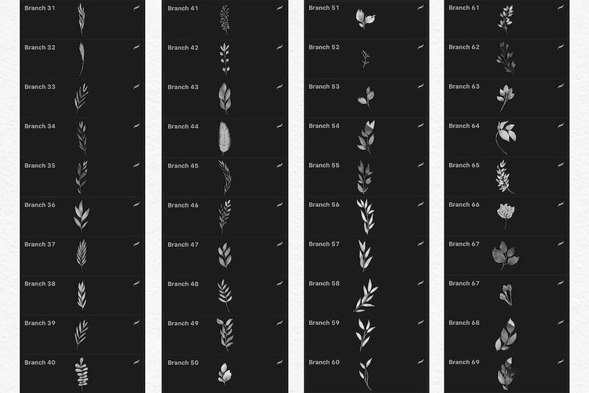 procreate笔刷-花朵叶子印章水彩笔刷素材资源 笔刷资源 sucaiwan.com