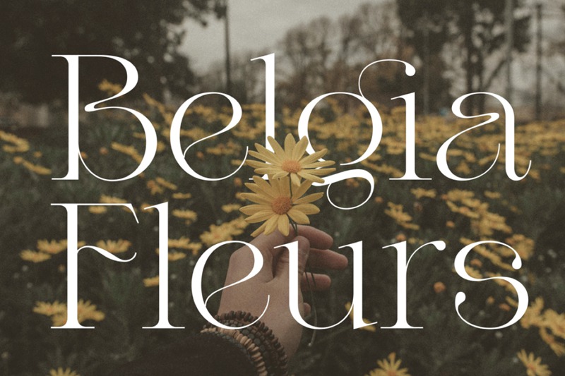 英文字体-最新整理150款潮流优雅英文字体合集 设计素材 第37张-素材湾丨精选海外优质设计素材资源 英文字体-最新整理150款潮流优雅英文字体合集 设计素材 sucaiwan.com