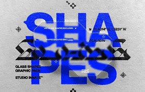 国外高端作品展示素材