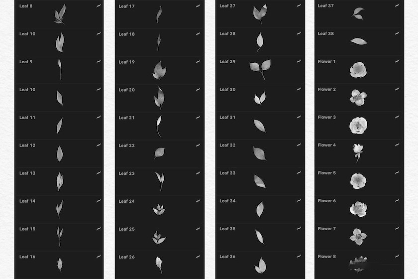 procreate笔刷-花朵叶子印章水彩笔刷素材资源 笔刷资源 sucaiwan.com