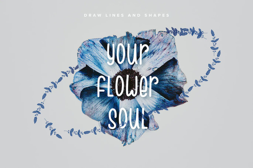 Procreate笔刷-花朵花型图案笔刷素材下载 笔刷资源 sucaiwan.com