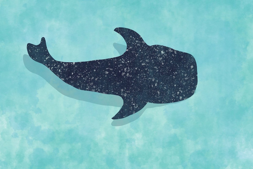 Procreate笔刷-飞溅和斑点印章水彩笔刷素材 笔刷资源 sucaiwan.com