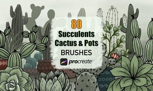 Procreate笔刷-多肉植物和花盆图案笔刷素材