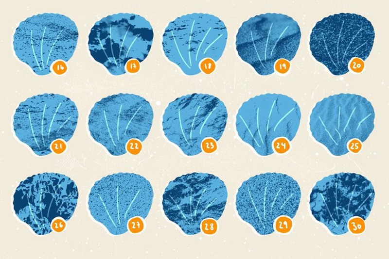 Procreate笔刷-贝壳海藻珊瑚线稿图案纹理笔刷素材 笔刷资源 第10张-素材湾丨精选海外优质设计素材资源 Procreate笔刷-贝壳海藻珊瑚线稿图案纹理笔刷素材 笔刷资源 sucaiwan.com