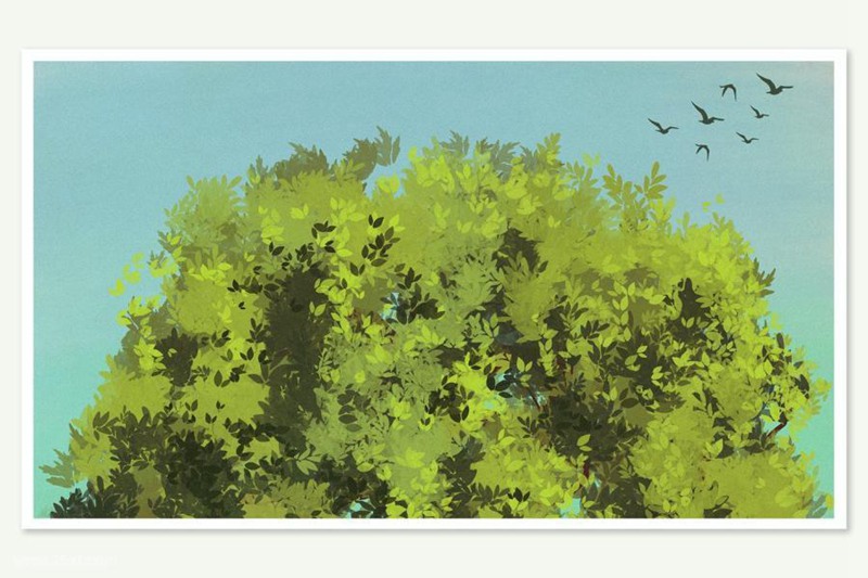 Procreate笔刷-风景植物树叶画笔图案笔刷素材下载 笔刷资源 sucaiwan.com
