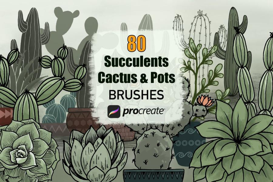Procreate笔刷-多肉植物和花盆图案笔刷素材 笔刷资源 sucaiwan.com